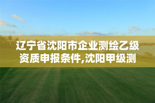 辽宁省沈阳市企业测绘乙级资质申报条件,沈阳甲级测绘公司。