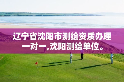 辽宁省沈阳市测绘资质办理一对一,沈阳测绘单位。