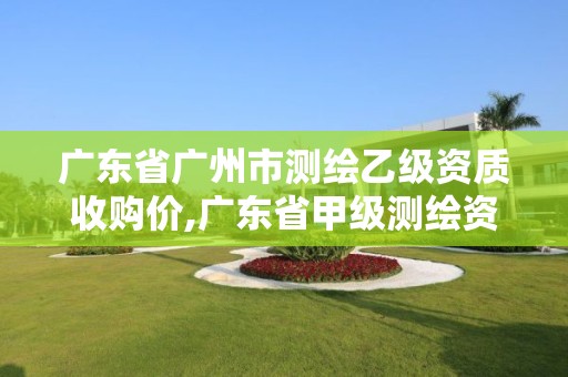 广东省广州市测绘乙级资质收购价,广东省甲级测绘资质单位有多少。