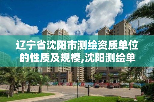 辽宁省沈阳市测绘资质单位的性质及规模,沈阳测绘单位排名。