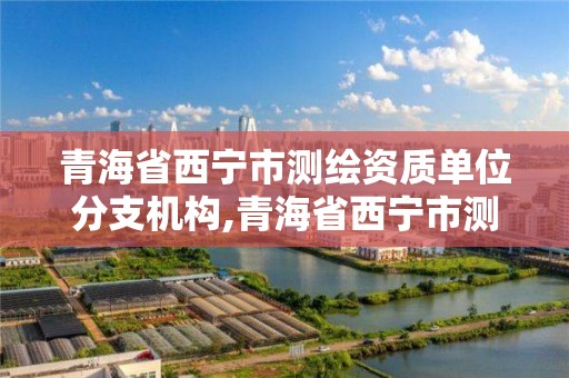 青海省西宁市测绘资质单位分支机构,青海省西宁市测绘院。
