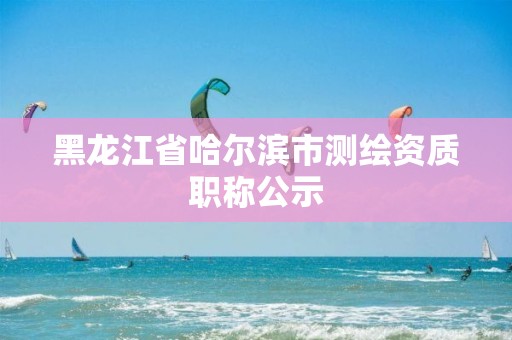 黑龙江省哈尔滨市测绘资质职称公示