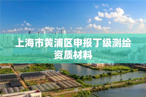 上海市黄浦区申报丁级测绘资质材料