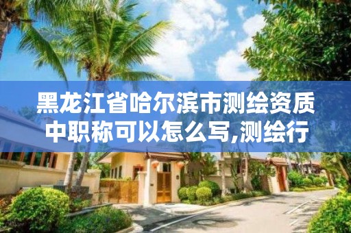 黑龙江省哈尔滨市测绘资质中职称可以怎么写,测绘行业职称评审。 黑龙江省哈尔滨市测绘资质中职称可以怎么写,测绘行业职称评审。