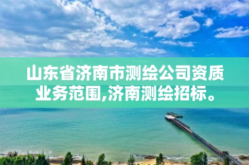山东省济南市测绘公司资质业务范围,济南测绘招标。