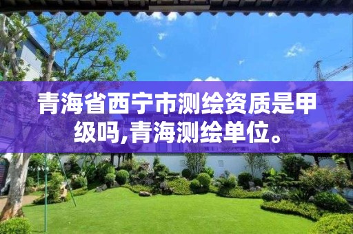 青海省西宁市测绘资质是甲级吗,青海测绘单位。