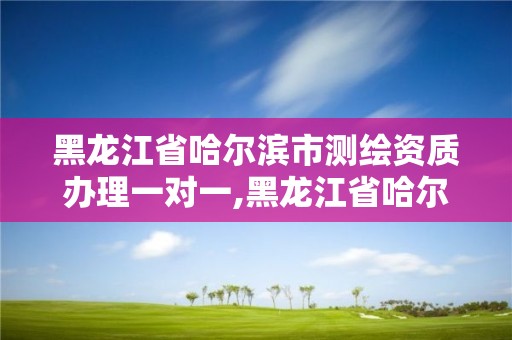 黑龙江省哈尔滨市测绘资质办理一对一,黑龙江省哈尔滨市测绘局。 黑龙江省哈尔滨市测绘资质办理一对一,黑龙江省哈尔滨市测绘局。