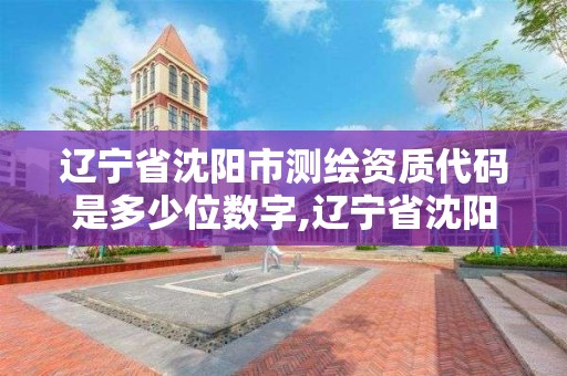 辽宁省沈阳市测绘资质代码是多少位数字,辽宁省沈阳市测绘资质代码是多少位数字的。