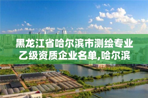 黑龙江省哈尔滨市测绘专业乙级资质企业名单,哈尔滨测绘局招聘信息。 黑龙江省哈尔滨市测绘专业乙级资质企业名单,哈尔滨测绘局招聘信息。