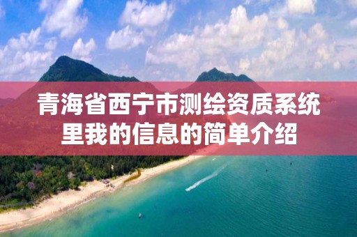 青海省西宁市测绘资质系统里我的信息的简单介绍