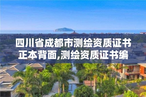 四川省成都市测绘资质证书正本背面,测绘资质证书编号形式。