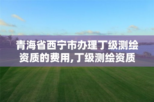 青海省西宁市办理丁级测绘资质的费用,丁级测绘资质审批机关是。 青海省西宁市办理丁级测绘资质的费用,丁级测绘资质审批机关是。