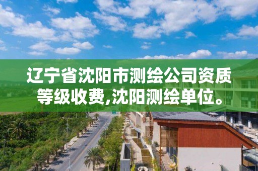 辽宁省沈阳市测绘公司资质等级收费,沈阳测绘单位。