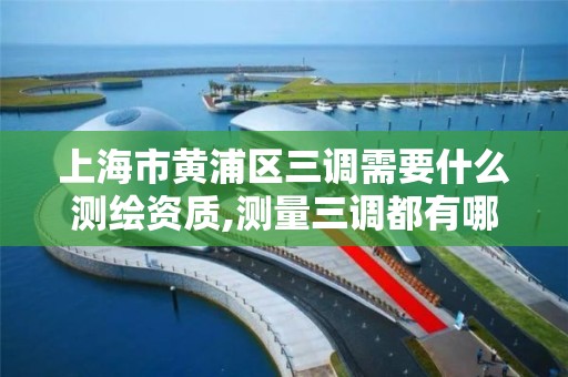 上海市黄浦区三调需要什么测绘资质,测量三调都有哪些工作。
