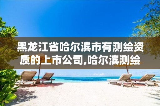 黑龙江省哈尔滨市有测绘资质的上市公司,哈尔滨测绘局属于什么单位。 黑龙江省哈尔滨市有测绘资质的上市公司,哈尔滨测绘局属于什么单位。