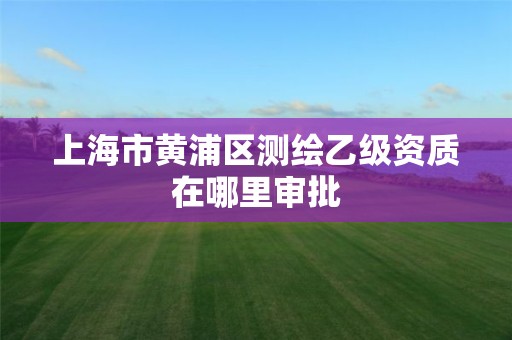 上海市黄浦区测绘乙级资质在哪里审批