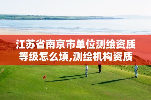 江苏省南京市单位测绘资质等级怎么填,测绘机构资质级别。