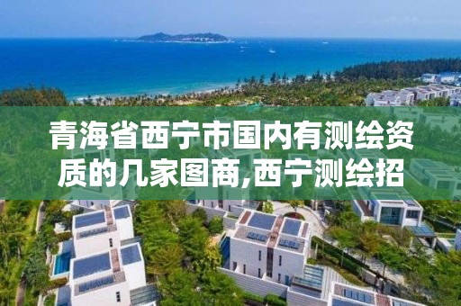 青海省西宁市国内有测绘资质的几家图商,西宁测绘招聘。 青海省西宁市国内有测绘资质的几家图商,西宁测绘招聘。