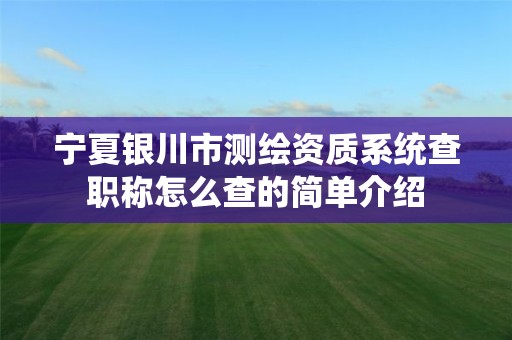 宁夏银川市测绘资质系统查职称怎么查的简单介绍 宁夏银川市测绘资质系统查职称怎么查的简单介绍