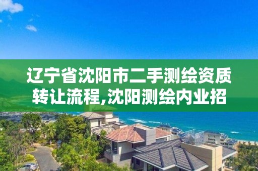 辽宁省沈阳市二手测绘资质转让流程,沈阳测绘内业招聘信息。