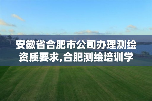 安徽省合肥市公司办理测绘资质要求,合肥测绘培训学校。