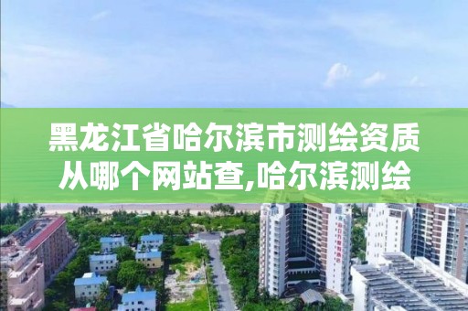 黑龙江省哈尔滨市测绘资质从哪个网站查,哈尔滨测绘局幼儿园是民办还是公办。
