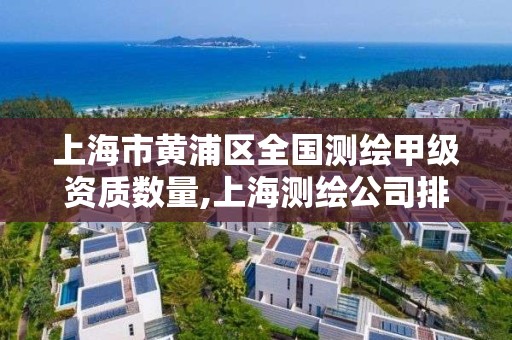 上海市黄浦区全国测绘甲级资质数量,上海测绘公司排名名单。