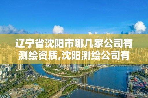 辽宁省沈阳市哪几家公司有测绘资质,沈阳测绘公司有哪些。