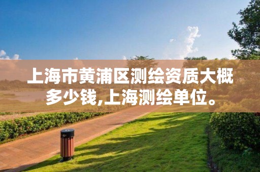 上海市黄浦区测绘资质大概多少钱,上海测绘单位。