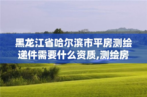 黑龙江省哈尔滨市平房测绘递件需要什么资质,测绘房子多少钱。