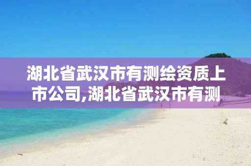 湖北省武汉市有测绘资质上市公司,湖北省武汉市有测绘资质上市公司有几家。