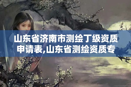 山东省济南市测绘丁级资质申请表,山东省测绘资质专用章 丁级。