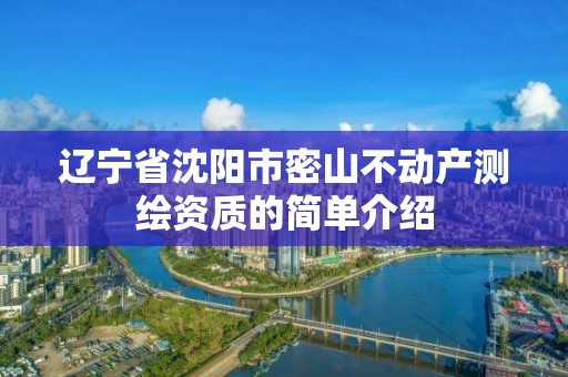 辽宁省沈阳市密山不动产测绘资质的简单介绍