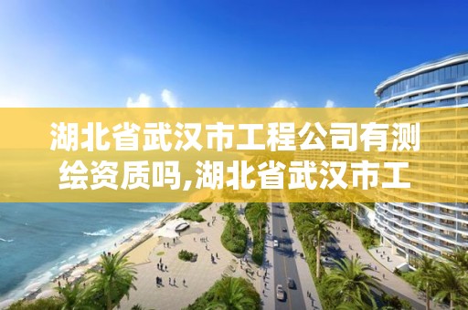湖北省武汉市工程公司有测绘资质吗,湖北省武汉市工程公司有测绘资质吗有哪些。