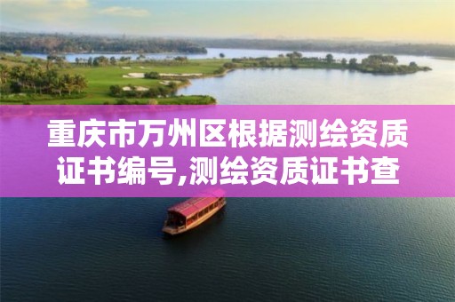 重庆市万州区根据测绘资质证书编号,测绘资质证书查询。