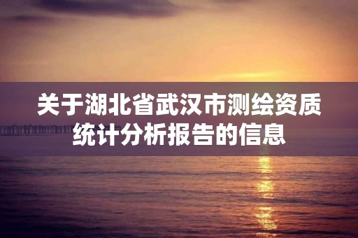 关于湖北省武汉市测绘资质统计分析报告的信息