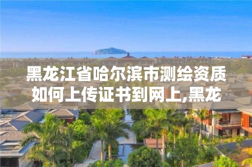 黑龙江省哈尔滨市测绘资质如何上传证书到网上,黑龙江注册测绘师。