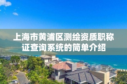 上海市黄浦区测绘资质职称证查询系统的简单介绍
