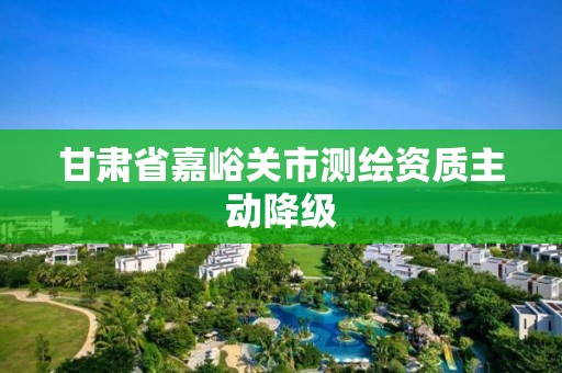 甘肃省嘉峪关市测绘资质主动降级