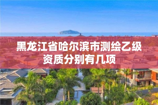 黑龙江省哈尔滨市测绘乙级资质分别有几项 黑龙江省哈尔滨市测绘乙级资质分别有几项