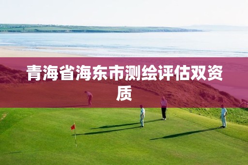 青海省海东市测绘评估双资质