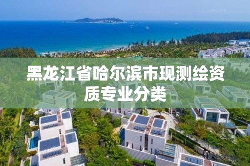 黑龙江省哈尔滨市现测绘资质专业分类 黑龙江省哈尔滨市现测绘资质专业分类