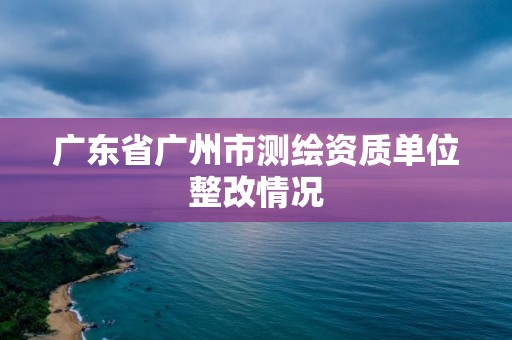 广东省广州市测绘资质单位整改情况