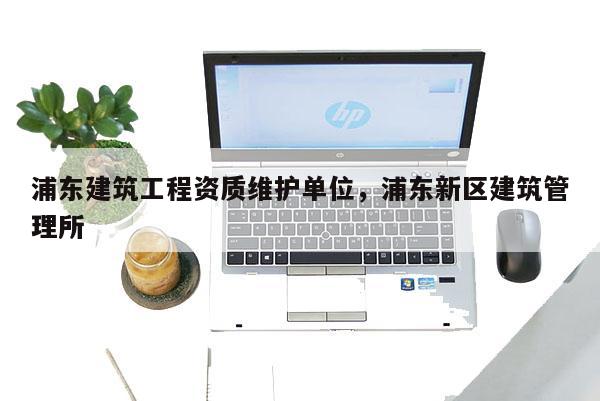 浦东建筑工程资质维护单位，浦东新区建筑管理所