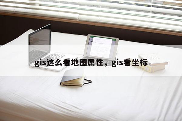 gis这么看地图属性，gis看坐标