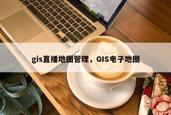 gis直播地图管理，GIS电子地图