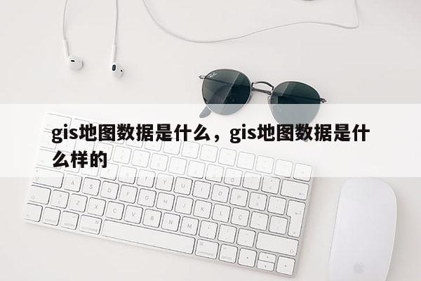 gis地图数据是什么，gis地图数据是什么样的