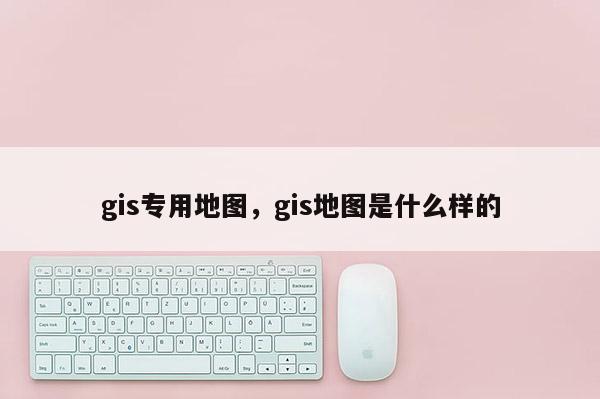 gis专用地图，gis地图是什么样的