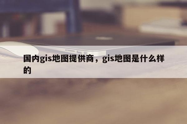 国内gis地图提供商，gis地图是什么样的