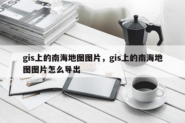 gis上的南海地图图片，gis上的南海地图图片怎么导出